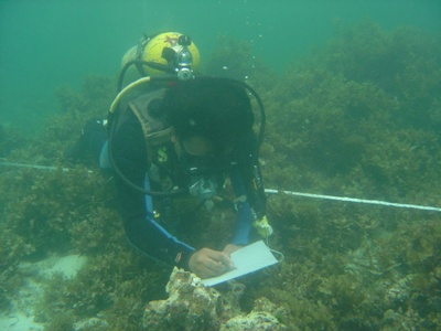 during our research