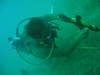 work in malimono surigao