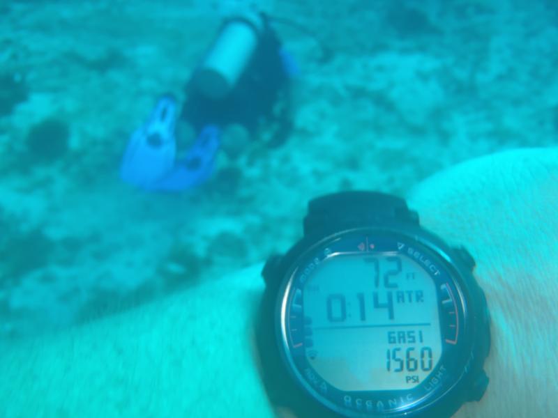 Dive buddy