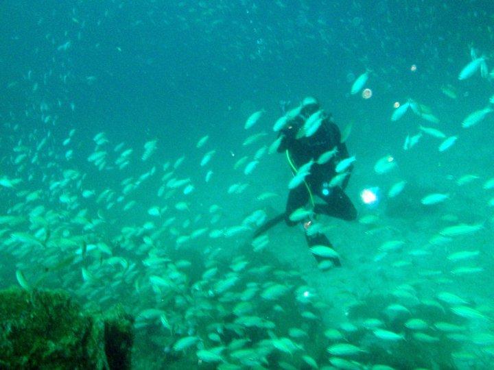 BAJO EL CHIVO , PARQUE NACIONAL MOCHIMA , VENEZUELA