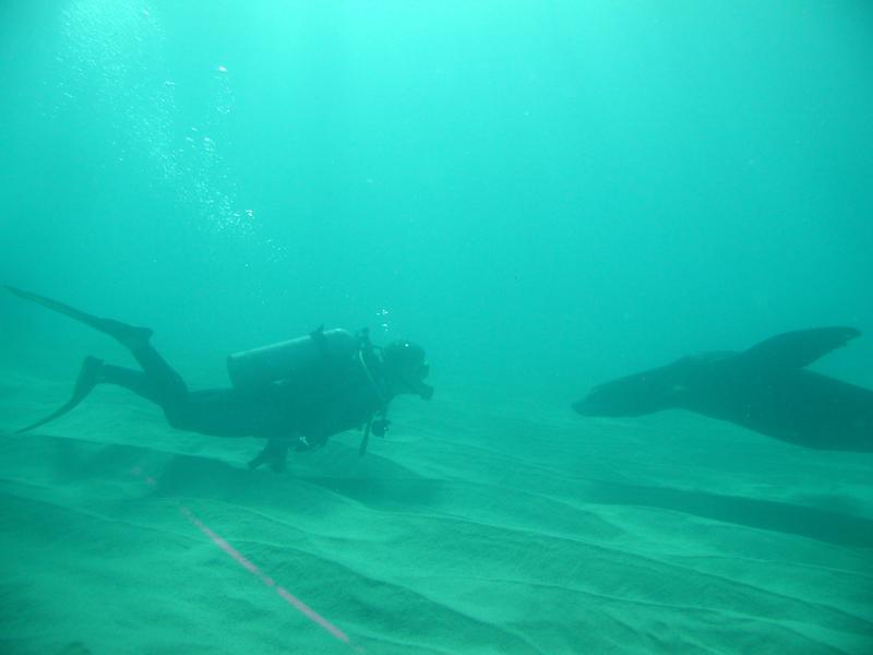 Encounter, Cabo San Lucas