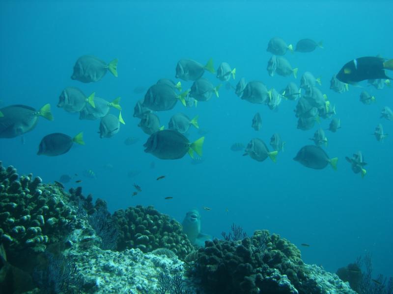 Cabo San Lucas