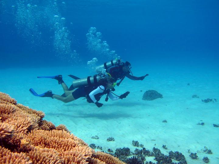 Nav Dive in Bigej Lagoon