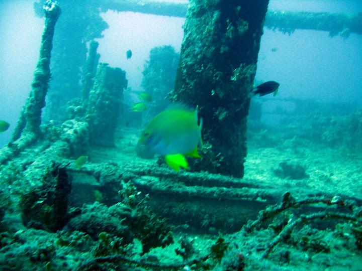 Deck of Akibasan Maru at 110’