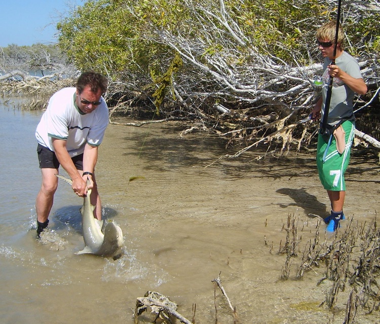 Catching sharks by hand