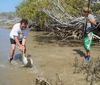 Catching sharks by hand