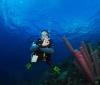 bonaire