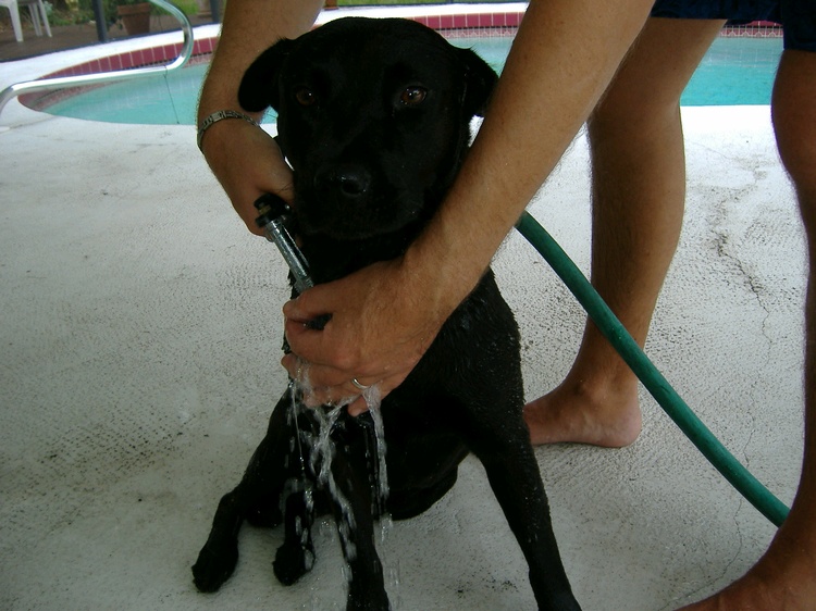 Baby`s first bath