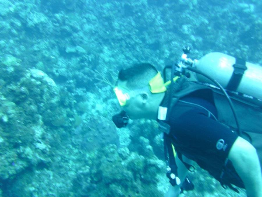 Diving at Grand Cayman