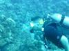 Diving at Grand Cayman