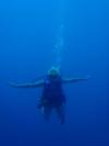 Aruba 7th Dive