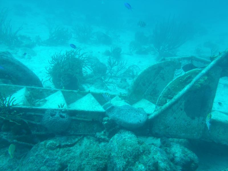 Part of a Ship Wreck in Aruba