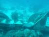 Part of a Ship Wreck in Aruba