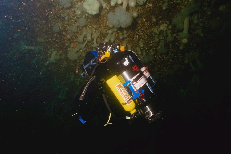 ScubaTech 2000    Training Technical  For 10 Yrs.