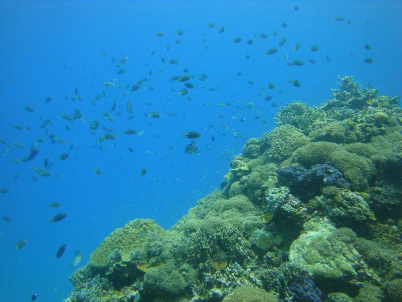 okinawa Japan