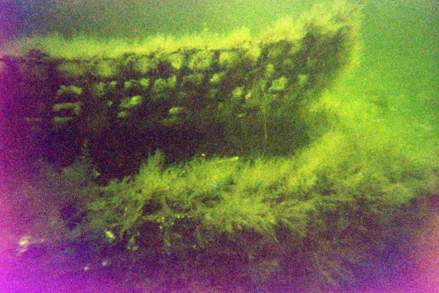 Black Warrior Wreck (Cage Structure)