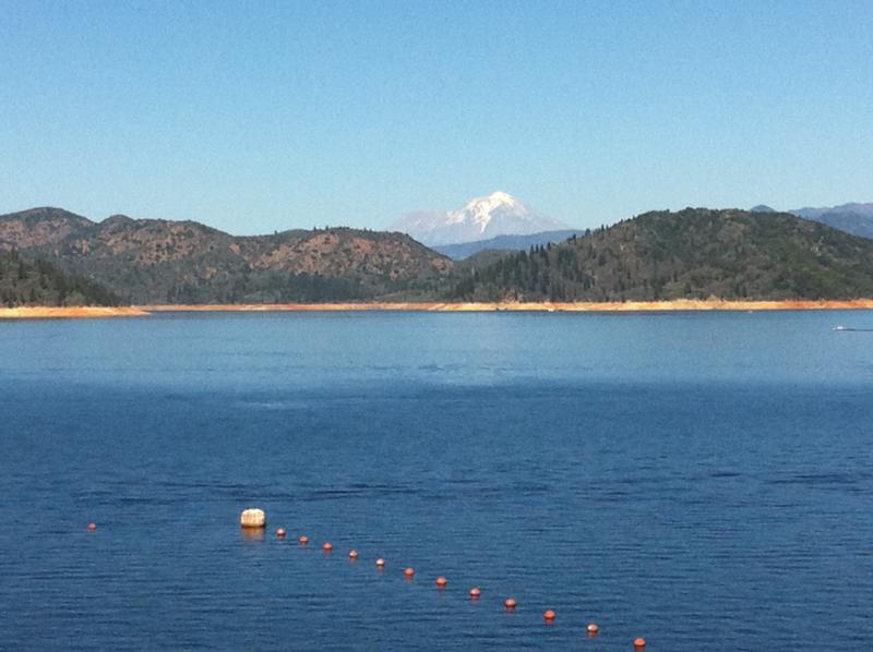 Lake Shasta