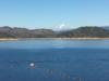 Lake Shasta