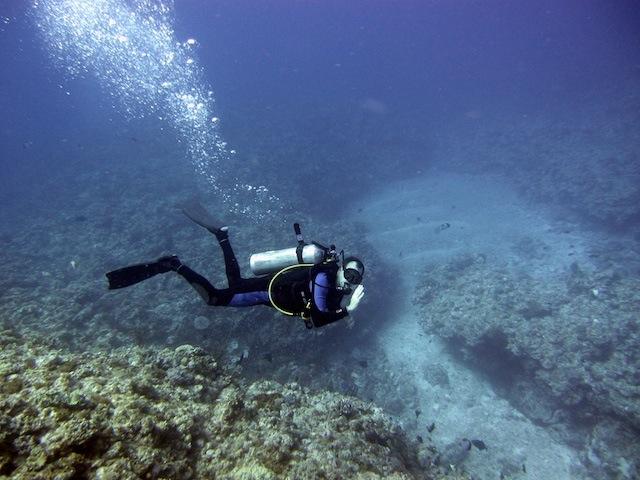 Diving Japan