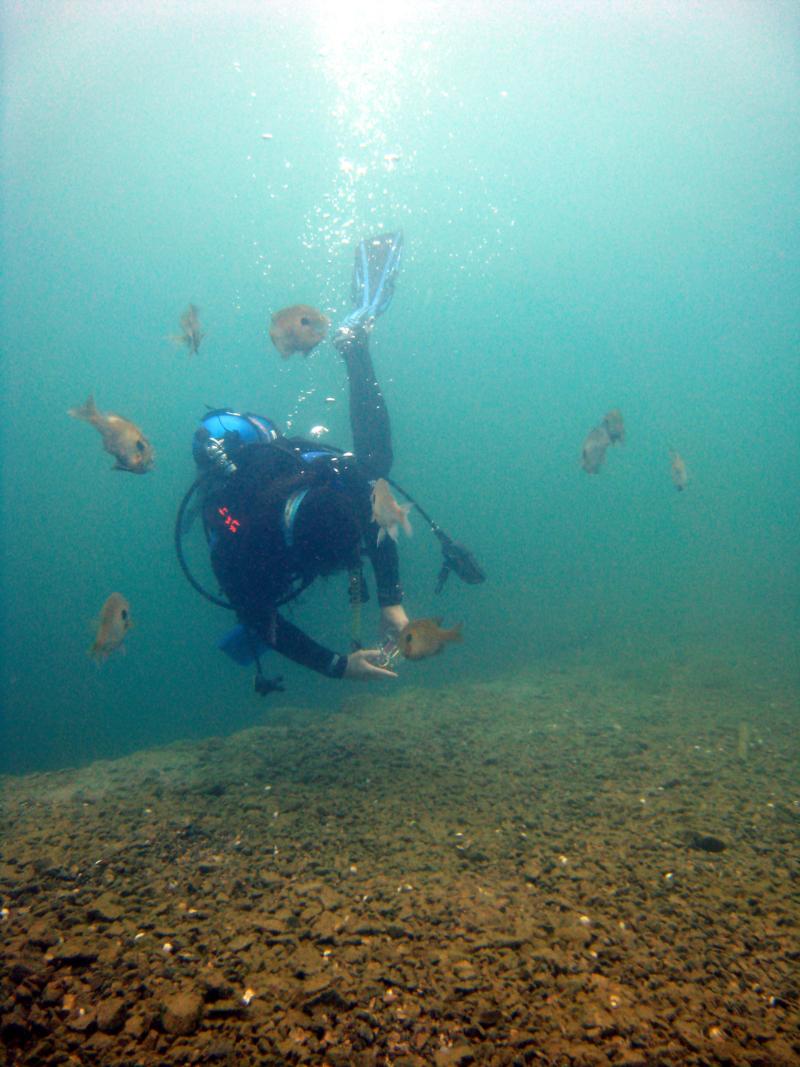 Surrounded by sunfish, Lake Rawlings, Va., July 2007