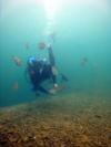 Surrounded by sunfish, Lake Rawlings, Va., July 2007