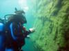 Studying algal mats along sides of quarry, Lake Rawlings, Va.