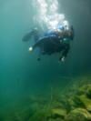 Surveying bluegill nests, Lake Rawlings, Va.