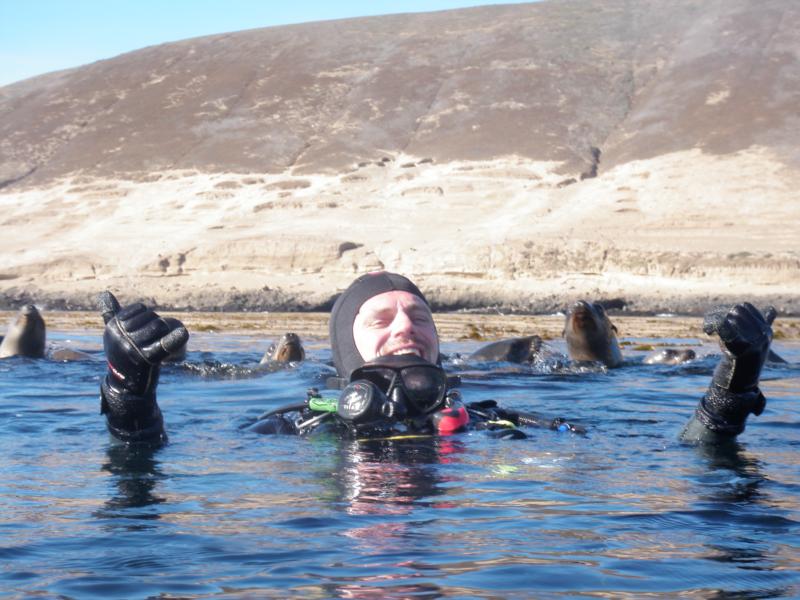 Santa Brbara Islad - Sea Lions