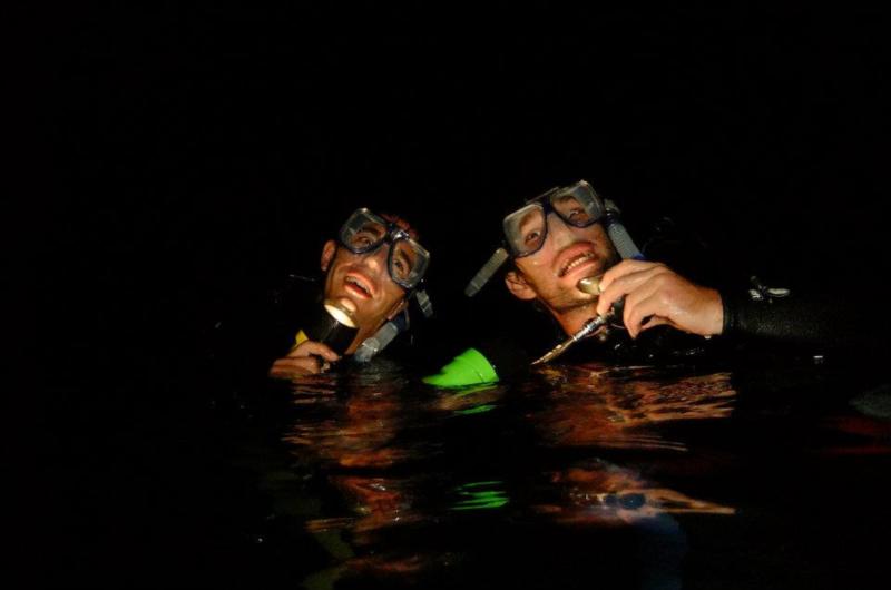 Night dive monsters