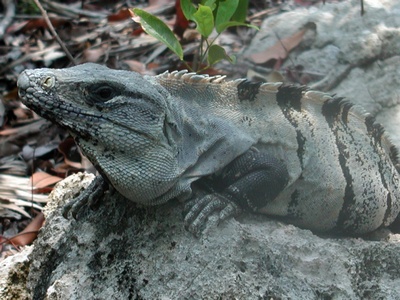 Cancun Mexico