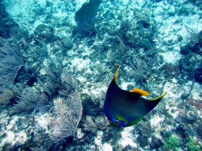 Cancun Mexico 42 ft