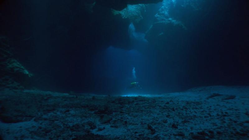 Underwater cathedral, Tonga, Eua