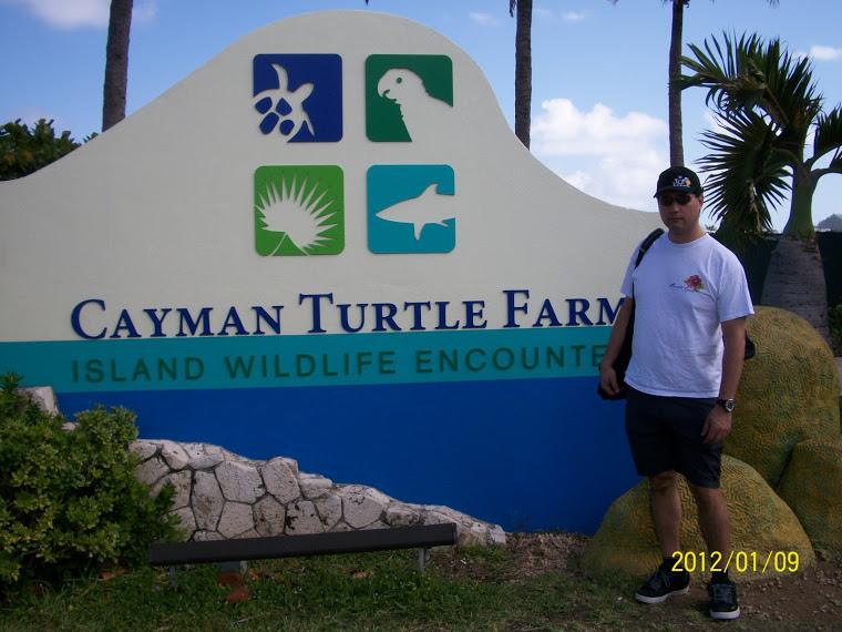 Cayman4