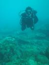 Coron