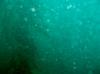 crescent bay dive