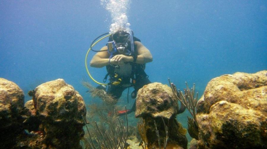 Reef Dive In Antiuga