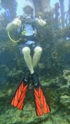 Wreck dive in Antiuga
