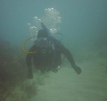 French Reef Key Largo, FL (My wife)