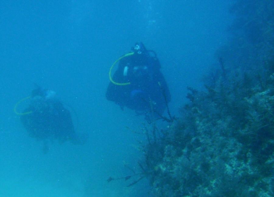 French Reef Key Largo, FL