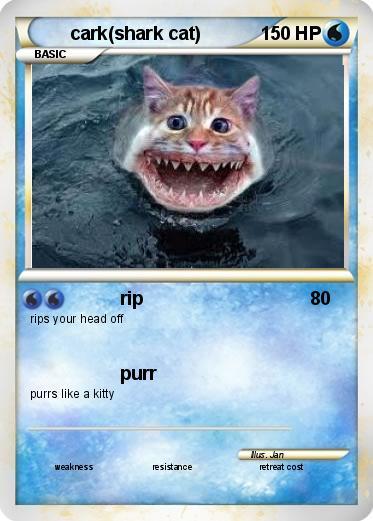 Cat Shark Pokemon Card