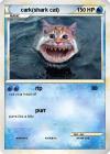 Cat Shark Pokemon Card