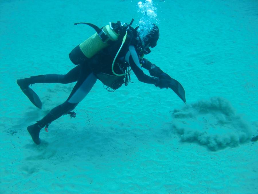Dive Guide clearing sand away to reveal Ray