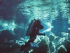 Cenotes Mexico Dive Alex Surfacing