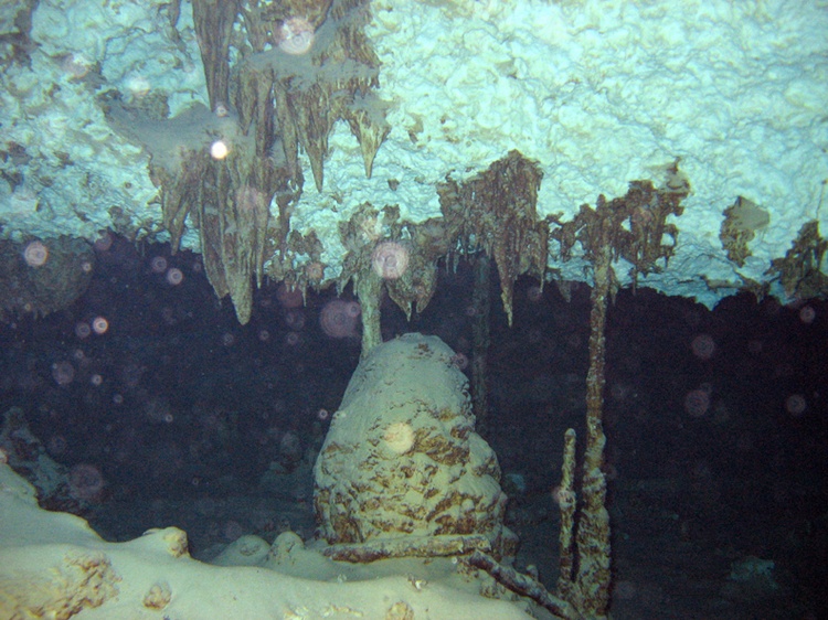 Cenotes Dive Dos Ojos 04-03-07