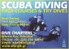 Dive Charters - Saltdragon