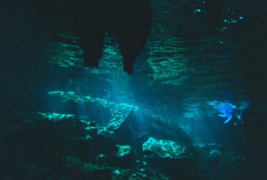 The Grand Cenote Mexico