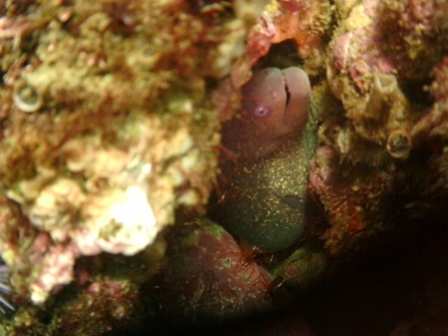 Eel Laguna Bch-Jan 22-2013