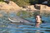 Love Dolphins