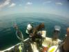 My son dropping off in the gulf