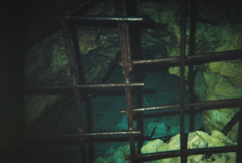ginnie springs